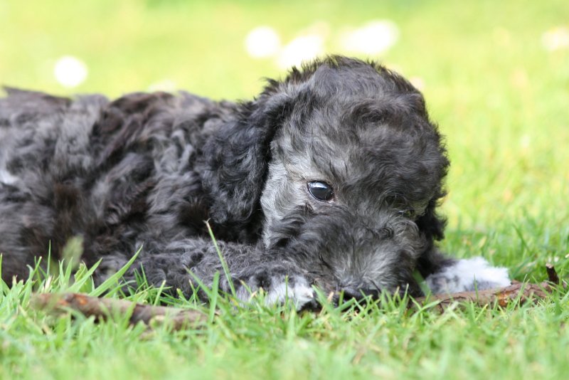 Arc-en-ciel Antares 2009-06-30 (29).JPG